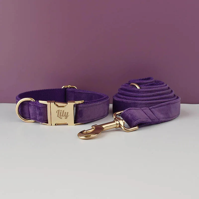 Set Collare e Guinzaglio per Cani in Velluto Viola per Cani di Taglia Piccola, Media e Grande con Targhetta Personalizzata Incisa Accessori per Animali Domestici Guinzaglio per Cani in Velluto 16
