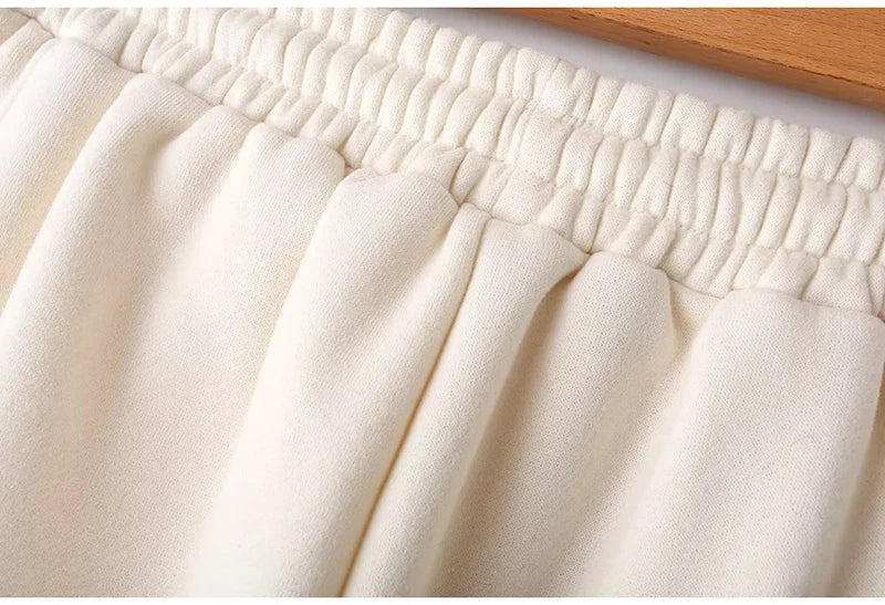 Abito caldo per le donne Pantaloni sportivi Set Inverno 2 pezzi Giacca e pantaloni in pile spesso con cerniera Set Tuta da donna in velluto per le donne