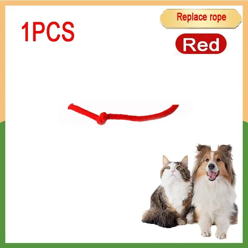 Forniture per animali domestici ricaricabili Addestramento per cani e gatti per imitare i giocattoli interattivi per animali domestici dei ratti Palla giocattolo elettrica Coda simulata Casa