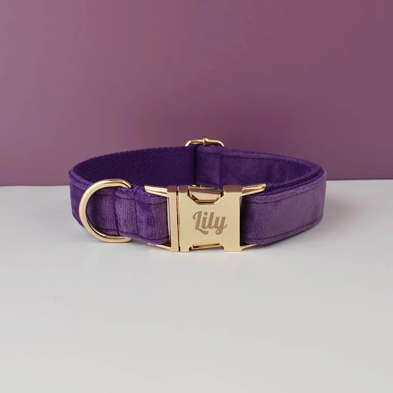 Set Collare e Guinzaglio per Cani in Velluto Viola per Cani di Taglia Piccola, Media e Grande con Targhetta Personalizzata Incisa Accessori per Animali Domestici Guinzaglio per Cani in Velluto 16