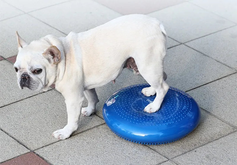 Cuscino per massaggio per animali domestici Piastra di equilibrio imbottita per cani Palla da yoga creativa Allenamento riabilitativo Forniture per animali Prodotti Giocattoli Accessori
