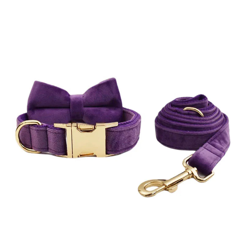 Set Collare e Guinzaglio per Cani in Velluto Viola per Cani di Taglia Piccola, Media e Grande con Targhetta Personalizzata Incisa Accessori per Animali Domestici Guinzaglio per Cani in Velluto 16