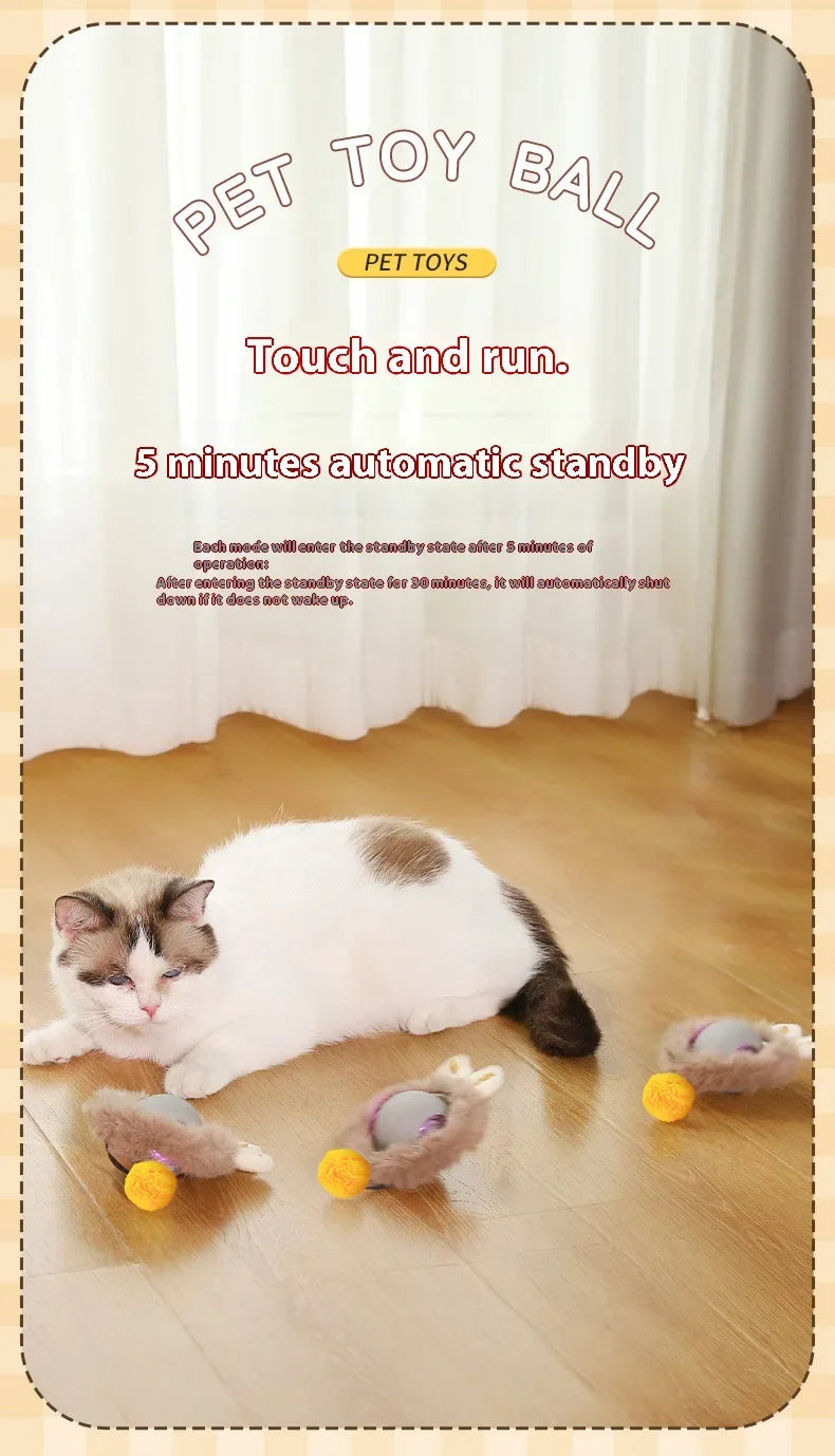Forniture per animali domestici ricaricabili Addestramento per cani e gatti per imitare i giocattoli interattivi per animali domestici dei ratti Palla giocattolo elettrica Coda simulata Casa
