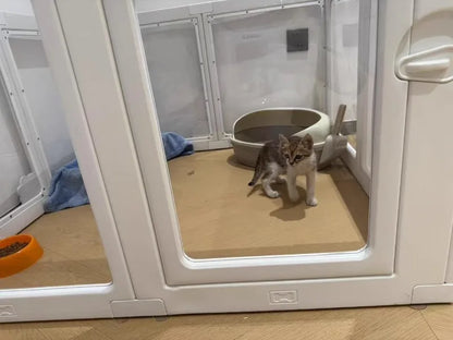 Recinzione per cani trasparente per interni Alta recinzione per cani da cortile in acrilico Gabbia per porte Mobili per cani Box Anti fuga Forniture per animali domestici