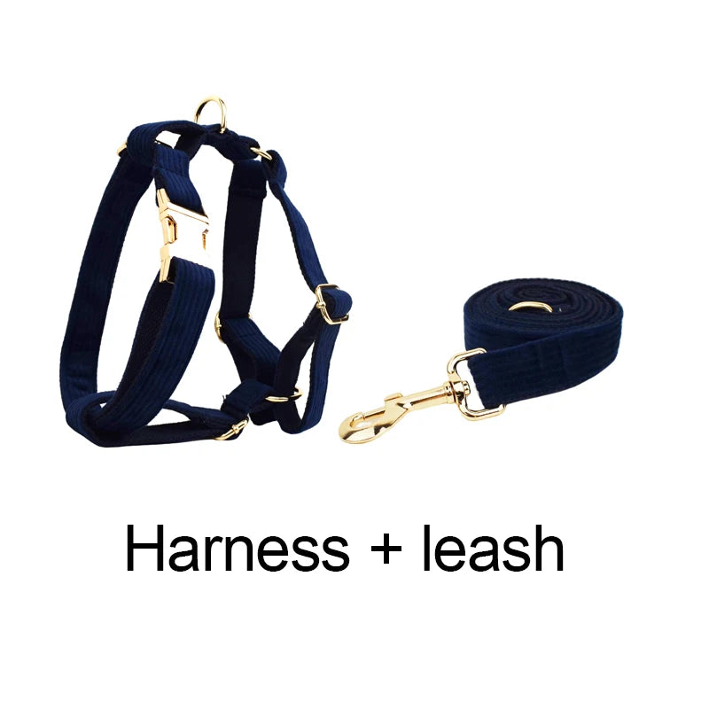 Set di collare e guinzaglio per cani in velluto a coste blu violaceo, con targhetta personalizzata incisa, accessori per animali domestici, guinzaglio per cani in velluto a coste17