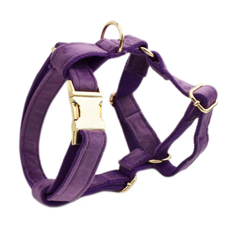 Set Collare e Guinzaglio per Cani in Velluto Viola per Cani di Taglia Piccola, Media e Grande con Targhetta Personalizzata Incisa Accessori per Animali Domestici Guinzaglio per Cani in Velluto 16