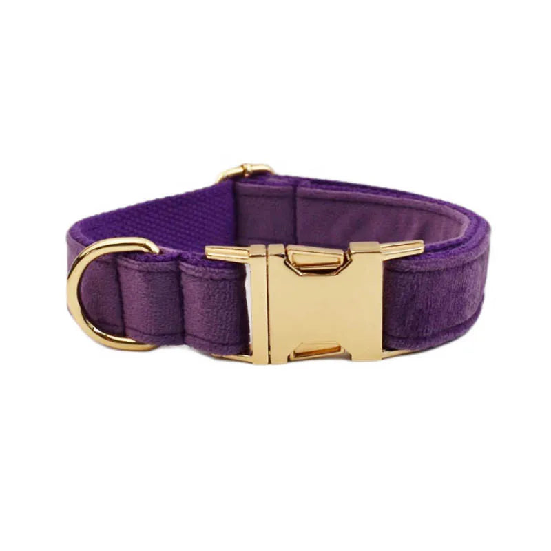 Set Collare e Guinzaglio per Cani in Velluto Viola per Cani di Taglia Piccola, Media e Grande con Targhetta Personalizzata Incisa Accessori per Animali Domestici Guinzaglio per Cani in Velluto 16