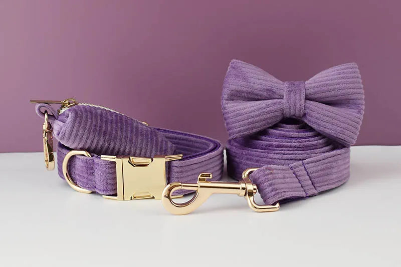 Set Collare e Guinzaglio per Cani in Corduroy Epic con Targhetta Personalizzata Incisa, Accessori per Animali Domestici, Guinzaglio per Cani in Corduroy15