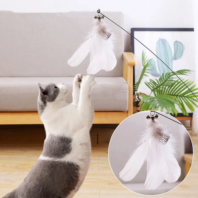 Giocattolo per gatti Divertenti giocattoli per gatti Giocattoli interattivi con piume per gatti Stuzzicare i morsi Giocattolo per gatti resistente ai morsi con ventosa Forniture per animali domestici
