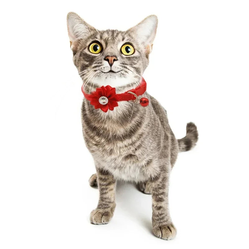 Collare carino colorato per cani e gatti collare regolabile con campana di fiori con collare a campana forniture per animali domestici 7 colori sono disponibili