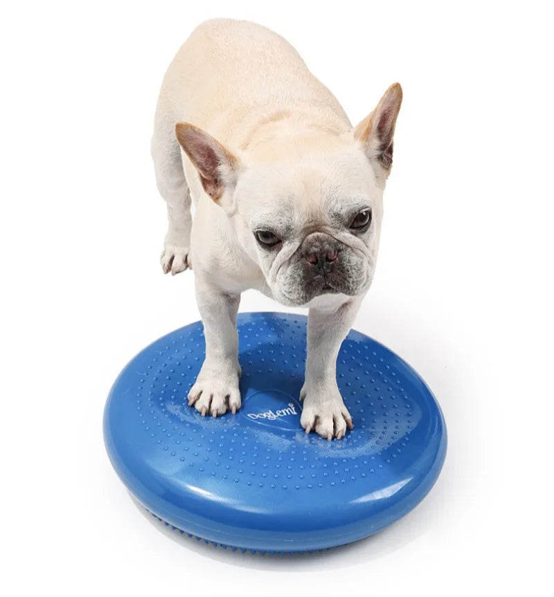 Cuscino per massaggio per animali domestici Piastra di equilibrio imbottita per cani Palla da yoga creativa Allenamento riabilitativo Forniture per animali Prodotti Giocattoli Accessori