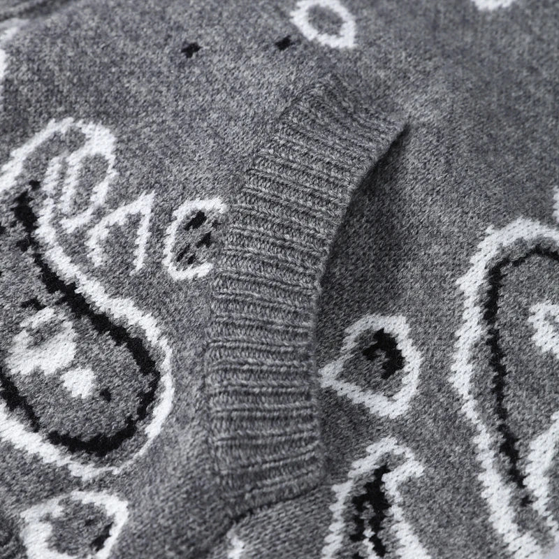 Street Knit Jacquard Colletto alla coreana Cardigan Cerniera Manica intera Maglione grigio femminile 2026 Primavera Lady Fashion Maglieria accogliente Nuovo