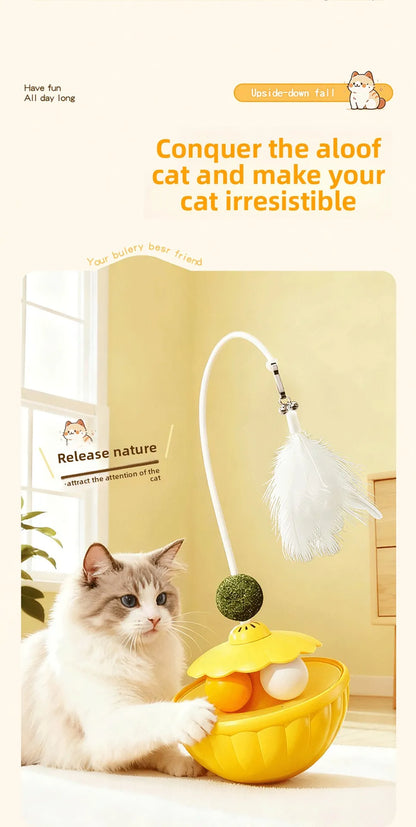 Giocattoli per Gatti: Bastone Teaser con Piuma Rimovibile e Pallina al Peppermint, Accessori per Animali Domestici