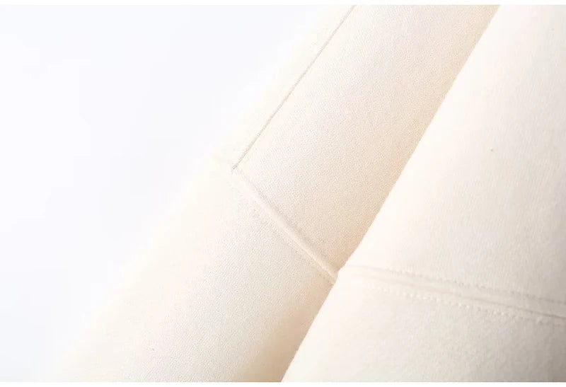 Abito caldo per le donne Pantaloni sportivi Set Inverno 2 pezzi Giacca e pantaloni in pile spesso con cerniera Set Tuta da donna in velluto per le donne