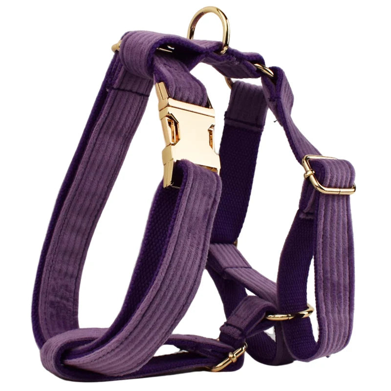 Set Collare e Guinzaglio per Cani in Corduroy Epic con Targhetta Personalizzata Incisa, Accessori per Animali Domestici, Guinzaglio per Cani in Corduroy15