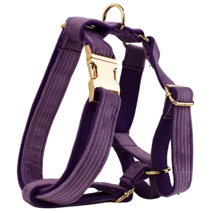 Set Collare e Guinzaglio per Cani in Corduroy Epic con Targhetta Personalizzata Incisa, Accessori per Animali Domestici, Guinzaglio per Cani in Corduroy15